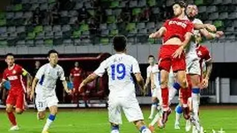 勒沃库森领跑德甲积分榜